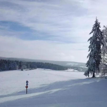 Holzferienhaus In Hinterrod Mit Sauna Сasa de vacaciones Einsiedel