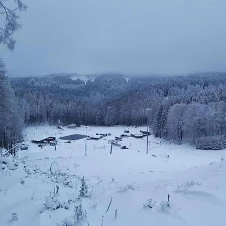Vakantiehuis Wooden In Hinterrod With Sauna
